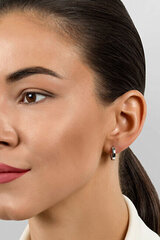 Kullatud kõrvarõngad naistele Brilio Silver EA687Y sBS2551 hind ja info | Kõrvarõngad | kaup24.ee