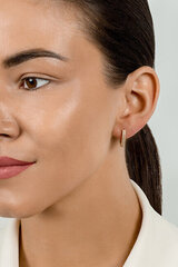 Kullatud kõrvarõngad tsirkooniumiga naistele Brilio Silver EA660Y sBS2679 hind ja info | Kõrvarõngad | kaup24.ee