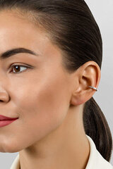 Kullatud kõrvarõngad tsirkooniumiga naistele Brilio Silver EA695Y sBS2693 hind ja info | Kõrvarõngad | kaup24.ee