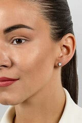 Hõbedased kõrvarõngad naistele Brilio Silver hind ja info | Kõrvarõngad | kaup24.ee