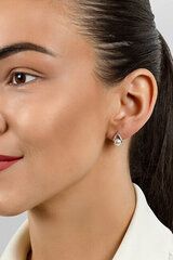 Hõbedased kõrvarõngad naistele Brilio Silver EA615W sBS2814 hind ja info | Kõrvarõngad | kaup24.ee