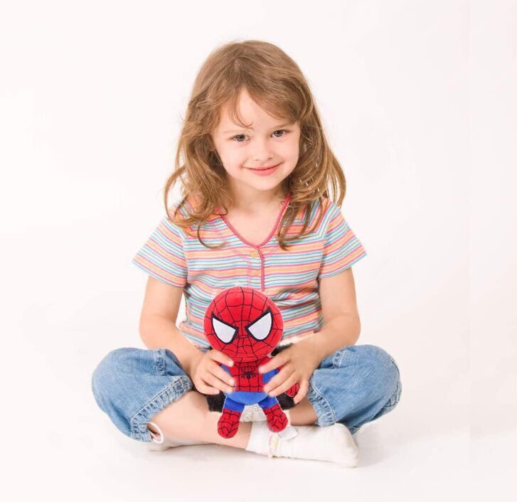 HappyJoe Superkangelane pluusi mänguasi, Spiderman, 27cm hind ja info | Pehmed mänguasjad | kaup24.ee