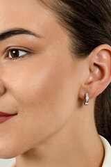 Kõrvarõngad naistele Brilio Silver EA556Y sBS2139 hind ja info | Kõrvarõngad | kaup24.ee