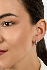 Kullatud kõrvarõngad tsirkooniumiga naistele Brilio Silver EA560Y sBS2151 hind ja info | Kõrvarõngad | kaup24.ee