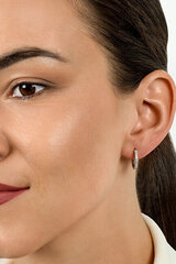 Kullatud kõrvarõngad tsirkooniumiga naistele Brilio Silver EA561Y sBS2154 hind ja info | Kõrvarõngad | kaup24.ee