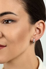 Kullatud kõrvarõngad tsirkooniumiga naistele Brilio Silver EA563Y sBS2159 hind ja info | Kõrvarõngad | kaup24.ee