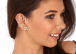 Hõbedased kõrvarõngad naistele JwL Luxury Pearls JL0777 sJL0777 hind ja info | Kõrvarõngad | kaup24.ee
