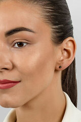Hõbedased kõrvarõngad naistele Brilio Silver EA625WBC sBS2381 hind ja info | Kõrvarõngad | kaup24.ee