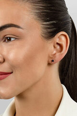 Kullatud kõrvarõngad tsirkooniumiga naistele Brilio Silver EA617YBC sBS2386 hind ja info | Kõrvarõngad | kaup24.ee