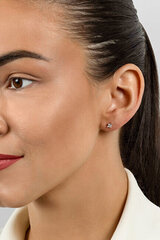 Kõrvarõngad naistele Brilio Silver EA617Y sBS2387 hind ja info | Kõrvarõngad | kaup24.ee
