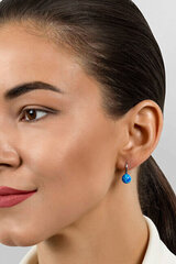 Hõbedased kõrvarõngad naistele Brilio Silver EA681WB sBS2446 hind ja info | Kõrvarõngad | kaup24.ee