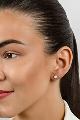 Hõbedased kõrvarõngad naistele Brilio Silver EA579Y sBS2462 hind ja info | Kõrvarõngad | kaup24.ee