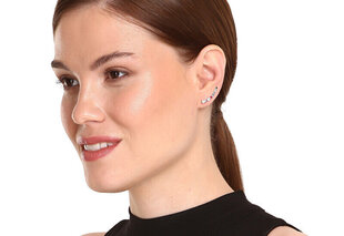 Hõbedased kõrvarõngad naistele JwL Luxury Pearls JL0742 sJL0742 hind ja info | Kõrvarõngad | kaup24.ee