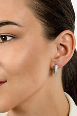 Kullatud kõrvarõngad tsirkooniumiga naistele Brilio Silver EA530Y sBS2094 hind ja info | Kõrvarõngad | kaup24.ee