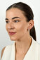 Hõbedased kõrvarõngad naistele Brilio Silver EA531W sBS2096 цена и информация | Kõrvarõngad | kaup24.ee