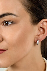 Hõbedased kõrvarõngad naistele Brilio Silver EA549Y sBS2127 hind ja info | Kõrvarõngad | kaup24.ee