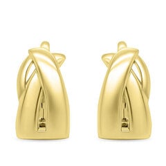 Brilio Silver Модные позолоченные серьги с подвесками EA534Y sBS2106 цена и информация | Серьги | kaup24.ee
