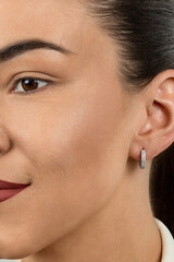 Kõrvarõngad naistele Brilio Silver EA502Y sBS1821 hind ja info | Kõrvarõngad | kaup24.ee