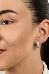 Kõrvarõngad tsirkooniumiga naistele Brilio Silver EA498R sBS1812 hind ja info | Kõrvarõngad | kaup24.ee
