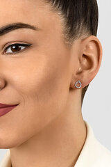Hõbedased kõrvarõngad naistele Brilio Silver EA357W sBS1717 hind ja info | Kõrvarõngad | kaup24.ee