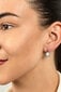 Hõbedased kõrvarõngad naistele Brilio Silver EA384W sBS1900 цена и информация | Kõrvarõngad | kaup24.ee