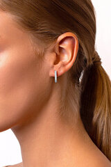 Hõbedased kõrvarõngad naistele Brilio Silver EA132W sBS1312 hind ja info | Kõrvarõngad | kaup24.ee