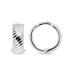 Brilio Silver Полосатые круглые серебряные серьги EA154W sBS1331 цена и информация | Серьги | kaup24.ee