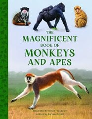 Magnificent Book of Monkeys and Apes цена и информация | Книги для подростков и молодежи | kaup24.ee