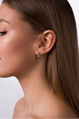 Kuldsed kõrvarõngad naistele Brilio pe059_AU_Y sBR1756 цена и информация | Серьги | kaup24.ee