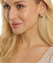 Hõbedased kõrvarõngad naistele JwL Luxury Pearls JL0674 sJL0674 цена и информация | Серьги | kaup24.ee