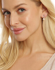 Terasest Kõrvarõngad naistele JwL Luxury Pearls JL0683 sJL0683 hind ja info | Kõrvarõngad | kaup24.ee