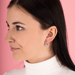 Hõbedased kõrvarõngad naistele Brilio Silver 436 001 00531 04 sBS0845 hind ja info | Kõrvarõngad | kaup24.ee