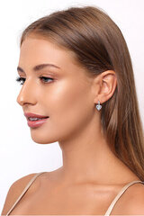 Hõbedased kõrvarõngad naistele Brilio Silver EA53 sBS0995 hind ja info | Kõrvarõngad | kaup24.ee