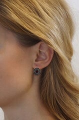 Hõbedased kõrvarõngad naistele Silvego SILVEGO380020 sSL3663 hind ja info | Kõrvarõngad | kaup24.ee