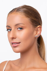 Hõbedased kõrvarõngad naistele Brilio Silver EA80W sBS1048 hind ja info | Kõrvarõngad | kaup24.ee