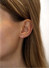 Hõbedased kõrvarõngad naistele Silvego SILVEGO706025W sSL3468 hind ja info | Kõrvarõngad | kaup24.ee