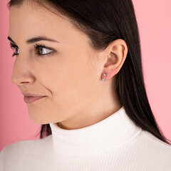 Hõbedased kõrvarõngad naistele JVD SVLE0701XH2F200 sJV1012 цена и информация | Серьги | kaup24.ee