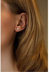 Hõbedased kõrvarõngad naistele Silvego LPS0933W sSL3603 hind ja info | Kõrvarõngad | kaup24.ee