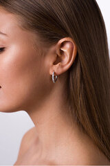 Hõbedased kõrvarõngad naistele Brilio Silver PE077 sBS0758 hind ja info | Kõrvarõngad | kaup24.ee