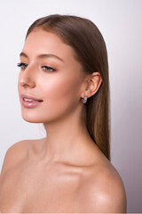 Hõbedased kõrvarõngad naistele Brilio Silver PE046 sBS0760 hind ja info | Kõrvarõngad | kaup24.ee