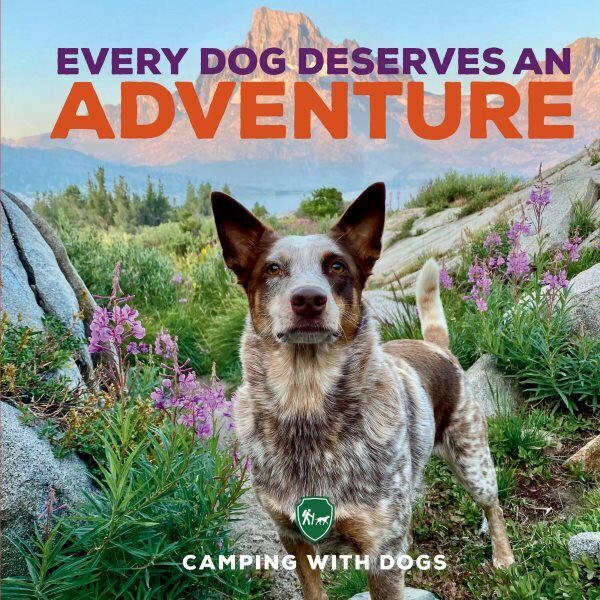 Every Dog Deserves an Adventure цена и информация | Tervislik eluviis ja toitumine | kaup24.ee