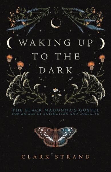 Waking Up to the Dark: The Black Madonna's Gospel for An Age of Extinction and Collapse цена и информация | Usukirjandus, religioossed raamatud | kaup24.ee