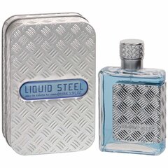 Туалетная вода для мужчин Linn Young Liquid Steel EDT 100 мл цена и информация | Мужские духи | kaup24.ee