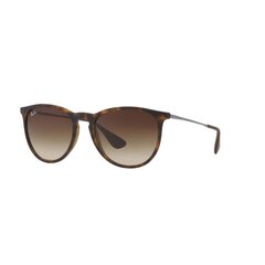 Päikeseprillid Unisex Ray-Ban RB4171-865-13 (54 mm) hind ja info | Naiste päikeseprillid | kaup24.ee