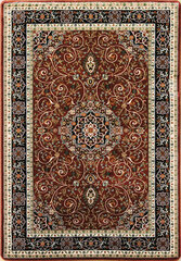 Vaip Anatolia 5858 300x400 cm hind ja info | Vaibad | kaup24.ee