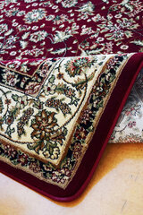 Vaip Anatolia 5378 100x2500 cm hind ja info | Vaibad | kaup24.ee