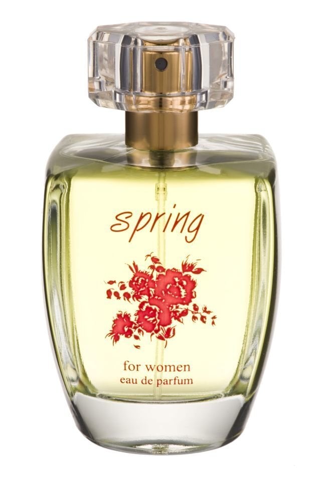 Parfüümvesi Lazell Spring EDP naistele 100 ml hind ja info | Naiste parfüümid | kaup24.ee