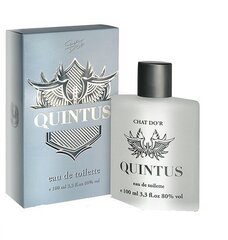 Tualettvesi Chat D'or Quintus EDT meestele 100 ml hind ja info | Naiste parfüümid | kaup24.ee