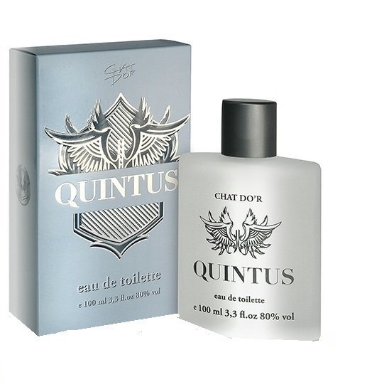 Tualettvesi Chat D'or Quintus EDT meestele 100 ml цена и информация | Naiste parfüümid | kaup24.ee