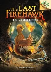 Secret Maze: A Branches Book (the Last Firehawk #10): Volume 10 цена и информация | Книги для подростков и молодежи | kaup24.ee